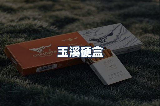 玉溪硬盒